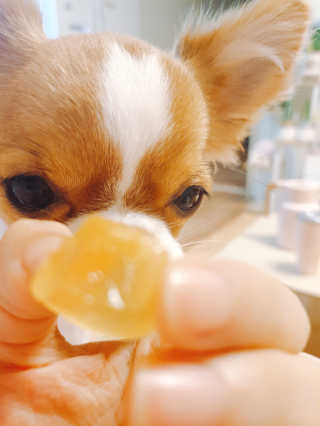 꼬몽쓰님이 올린 리뷰 사진 2