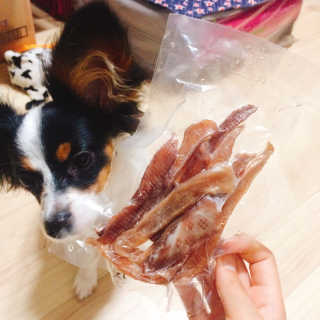 마법의성님이 올린 리뷰 사진 4