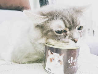 로지님이 올린 리뷰 사진 2