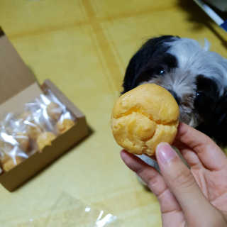 가횽님이 올린 리뷰 사진 1