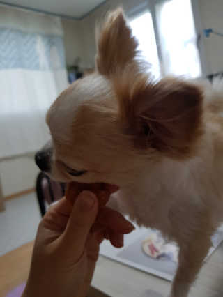 정혜수님이 올린 리뷰 사진 4