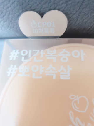 [블랙루즈] 피치 커버 벨벳 쿠션 2종 중 택1 — 5점을 준 리뷰어가 2019년 10월 올린 사용 사진