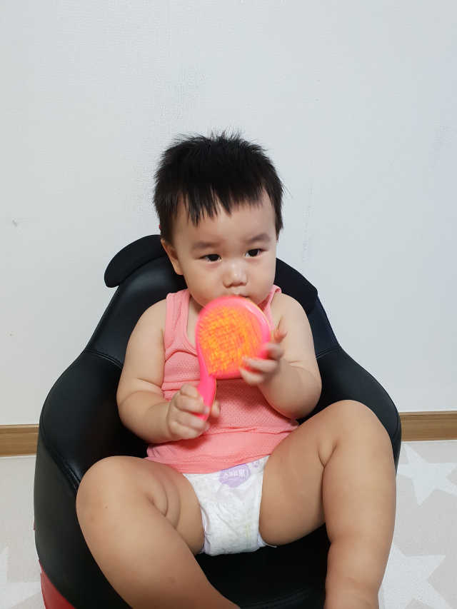 미쉘메르시에 걸리 디탱글링 브러쉬 리뷰 사진
