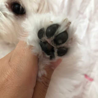 율리킴님이 올린 리뷰 사진 3