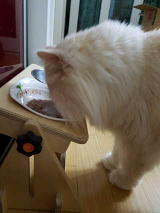 naggie님이 올린 리뷰 사진 3