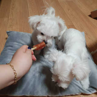숮이님이 올린 리뷰 사진 4