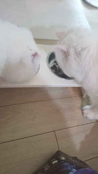 논지님이 올린 리뷰 사진 1