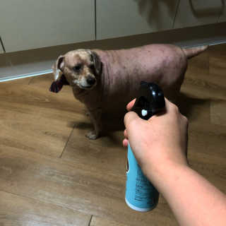 은지짱님이 올린 리뷰 사진 4