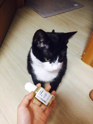후개미님이 올린 리뷰 사진 4