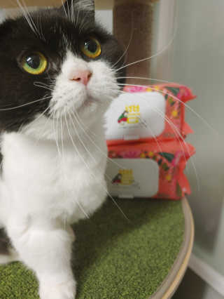 고고고님이 올린 리뷰 사진 2