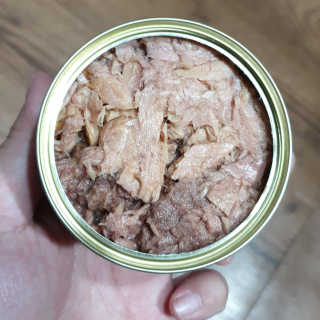 동원 참치킹 고양이 캔 12개입 — 5점을 준 리뷰어가 2018년 10월 올린 사용 사진