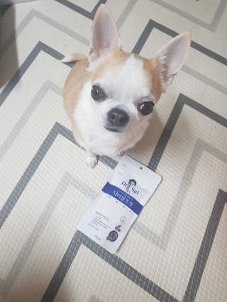 보리보리님이 올린 리뷰 사진 3