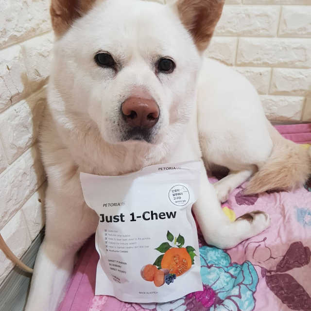 [펫토리아] 한입뚝딱 혼합 덴탈츄 Just 1-Chew 리뷰 사진