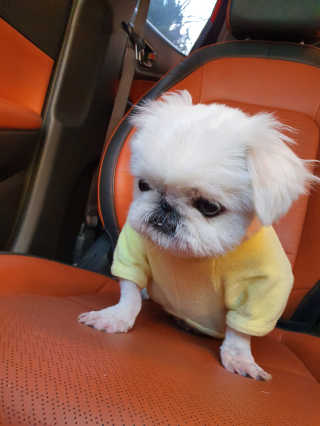 SeRyeonfit님이 올린 리뷰 사진 2