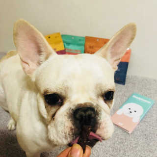 불독키우는개엄마❤️님이 올린 리뷰 사진 4