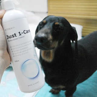 [펫토리아] 뚝딱케어 강아지 고양이 다목적세정제 — 5점을 준 리뷰어가 2020년 2월 올린 사용 사진