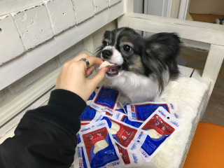 하나마리님이 올린 리뷰 사진 1