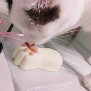 김영은님이 올린 리뷰 사진 3