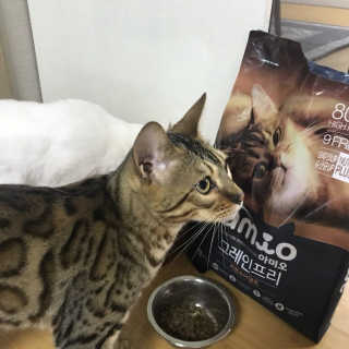 박지혜님이 올린 리뷰 사진 1