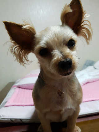 강소님이 올린 리뷰 사진 3
