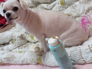 미도르님이 올린 리뷰 사진 1
