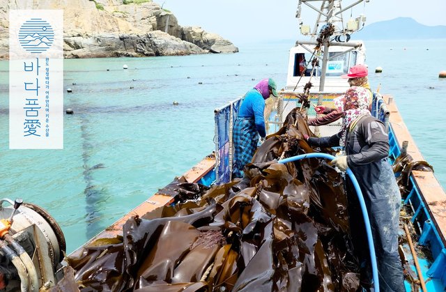 product-detail-3