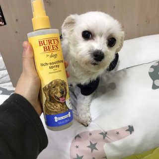 불량주부벗어나기님이 올린 리뷰 사진 2