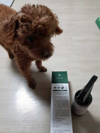 준맘님이 올린 리뷰 사진 3