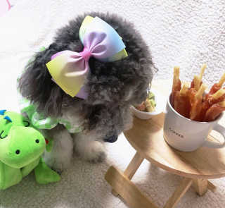 바니님이 올린 리뷰 사진 3