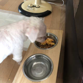 minjiriri님이 올린 리뷰 사진 3