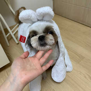 persona님이 올린 리뷰 사진 2