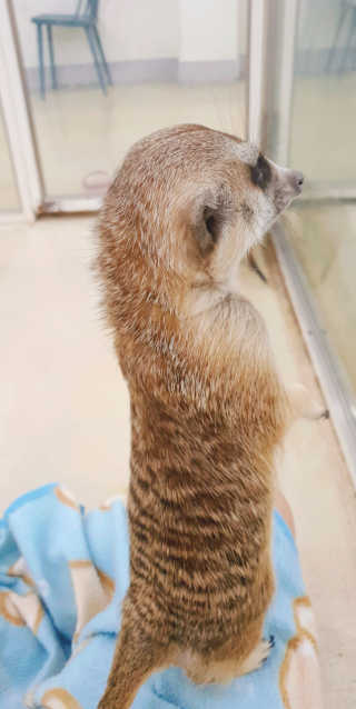 주혀니님이 올린 리뷰 사진 1