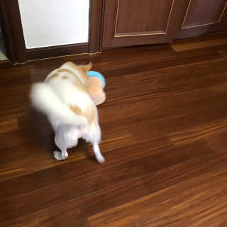 지애님이 올린 리뷰 사진 4