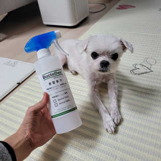 쏘이쏘이님이 올린 리뷰 사진 1