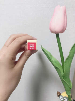 [블랙루즈] 크림 마뜨 루즈 시즌1 택1+랜덤1 — 5점을 준 리뷰어가 2020년 4월 올린 사용 사진