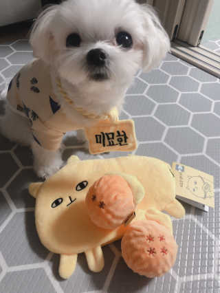 뚜덩맘님이 올린 리뷰 사진 1