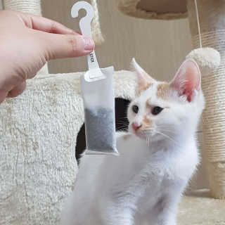 BoramKim님이 올린 리뷰 사진 1