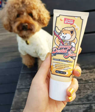 사랑해안시영님이 올린 리뷰 사진 2
