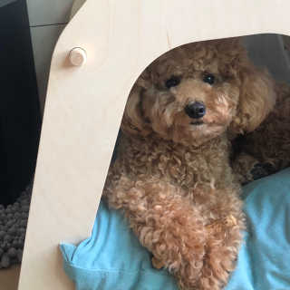 앙버터뉴나님이 올린 리뷰 사진 1