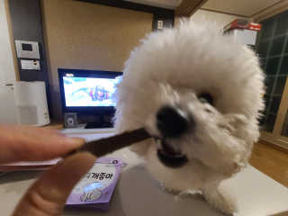 My Pet Care 천연단백질 치아건강에 개좋아 — 5점을 준 리뷰어가 2020년 11월 올린 사용 사진
