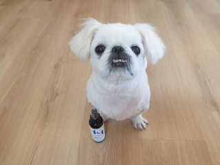 mini unni님이 올린 리뷰 사진 1