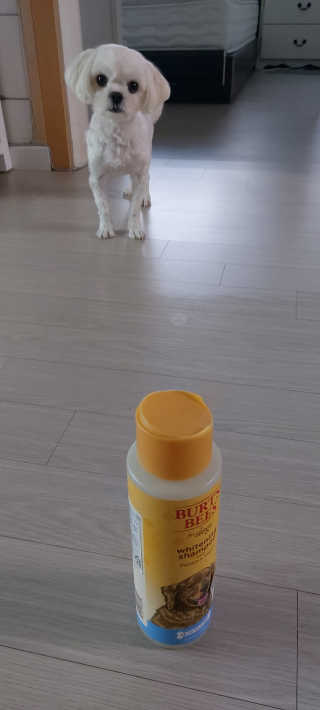 fall님이 올린 리뷰 사진 4