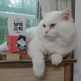 썬님이 올린 리뷰 사진 1