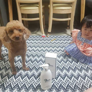 예민한 피부를 위한 코코몰리 All in one 자연유래 샴푸 — 5점을 준 리뷰어가 2020년 7월 올린 사용 사진