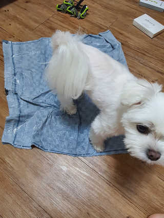 뽀오오옹님이 올린 리뷰 사진 3