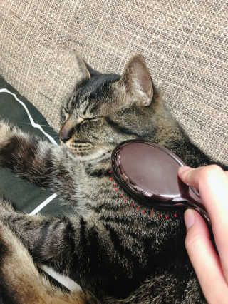 りりる님이 올린 리뷰 사진 2