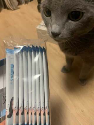 롬님이 올린 리뷰 사진 2
