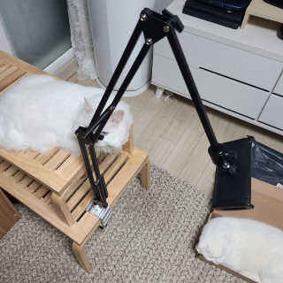 논지님이 올린 리뷰 사진 3