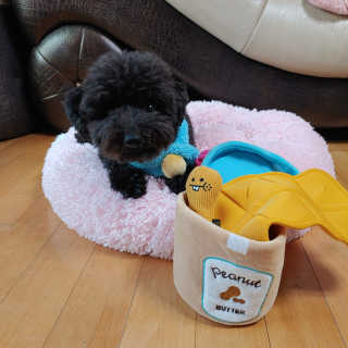 apple님이 올린 리뷰 사진 3
