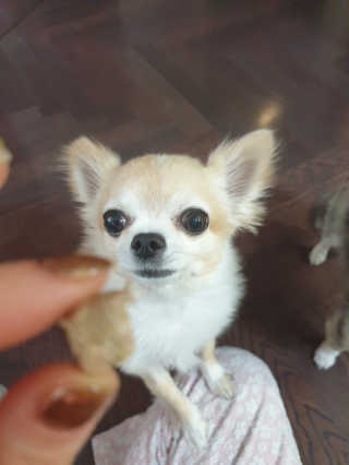 항이님이 올린 리뷰 사진 3